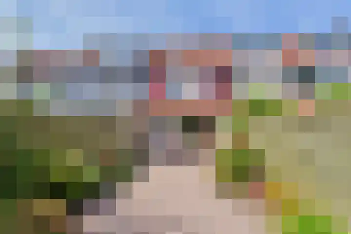 Amstel 43 Wijk bij Duurstede thumbnail 17