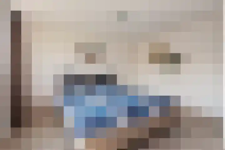 Amstel 43 Wijk bij Duurstede thumbnail 28