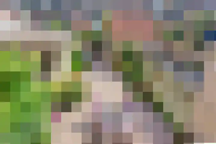 Amstel 43 Wijk bij Duurstede thumbnail 30
