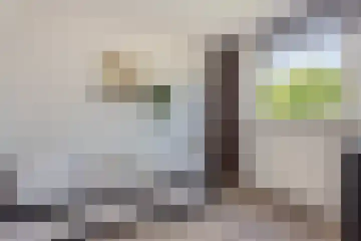 Amstel 43 Wijk bij Duurstede thumbnail 31