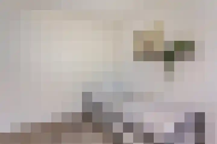 Amstel 43 Wijk bij Duurstede thumbnail 33