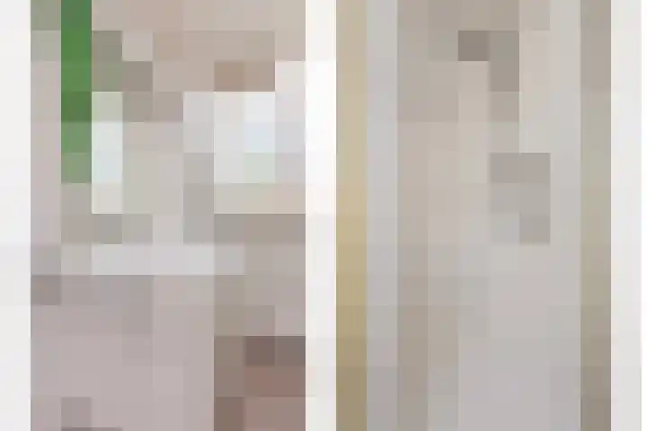Amstel 43 Wijk bij Duurstede thumbnail 35