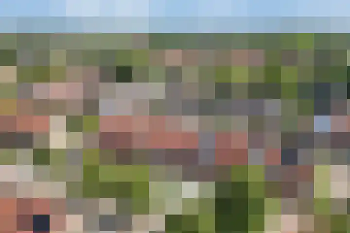Amstel 43 Wijk bij Duurstede thumbnail 40