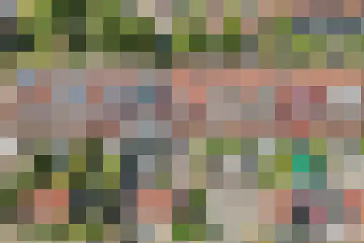 Amstel 43 Wijk bij Duurstede thumbnail 41