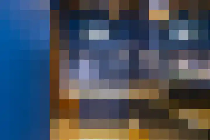 Amstel 51 A Amsterdam thumbnail 24