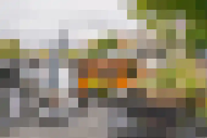 Amstel 51 A Amsterdam thumbnail 35
