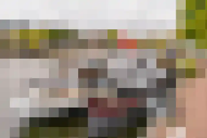Amstel 51 A Amsterdam thumbnail 44