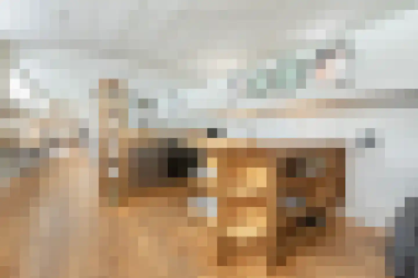 Amstel 51 H Amsterdam thumbnail 10