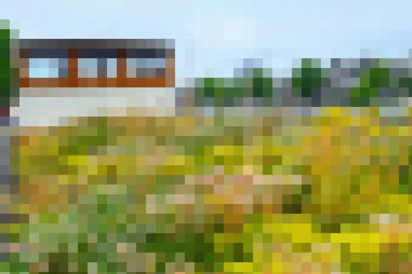 Amstel 51 H Amsterdam thumbnail 30