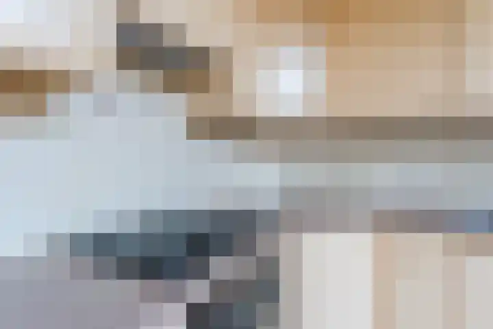 Amstel 9 Huizen thumbnail 13