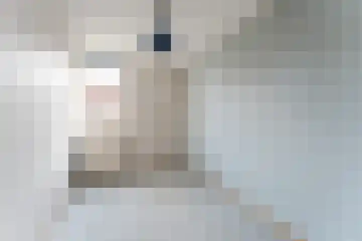 Amstel 9 Huizen thumbnail 17