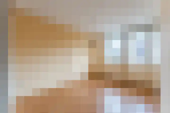 Amstel 9 Huizen thumbnail 18