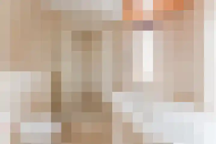 Amstel 9 Huizen thumbnail 20