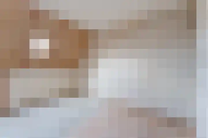 Amstel 9 Huizen thumbnail 24
