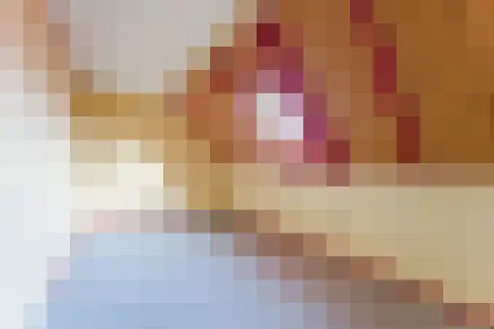 Amstel 9 Huizen thumbnail 26