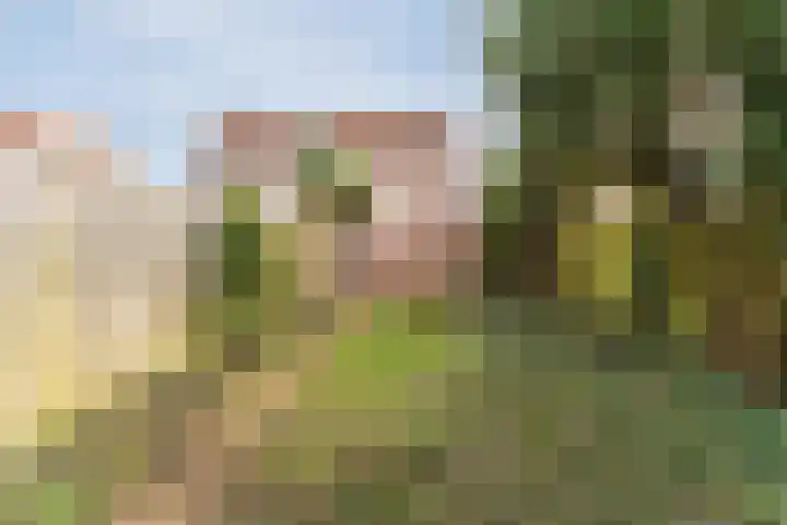Amstel 9 Huizen thumbnail 29
