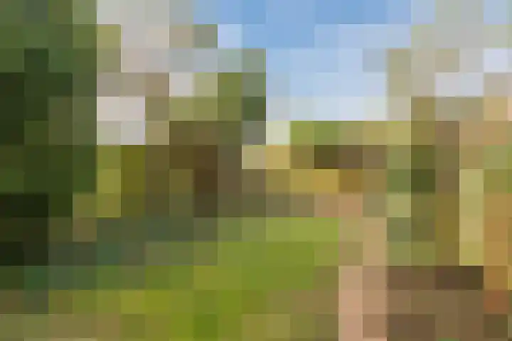 Amstel 9 Huizen thumbnail 31
