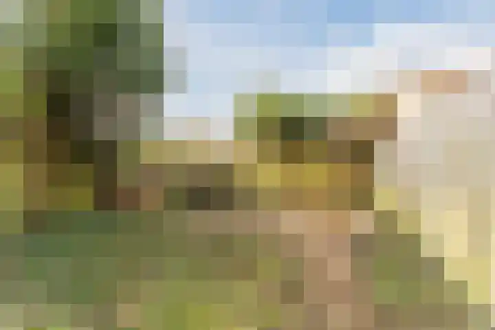 Amstel 9 Huizen thumbnail 32