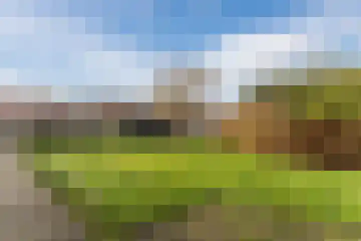 Amstel 9 Huizen thumbnail 33