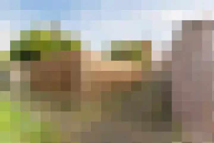 Amstel 9 Huizen thumbnail 34