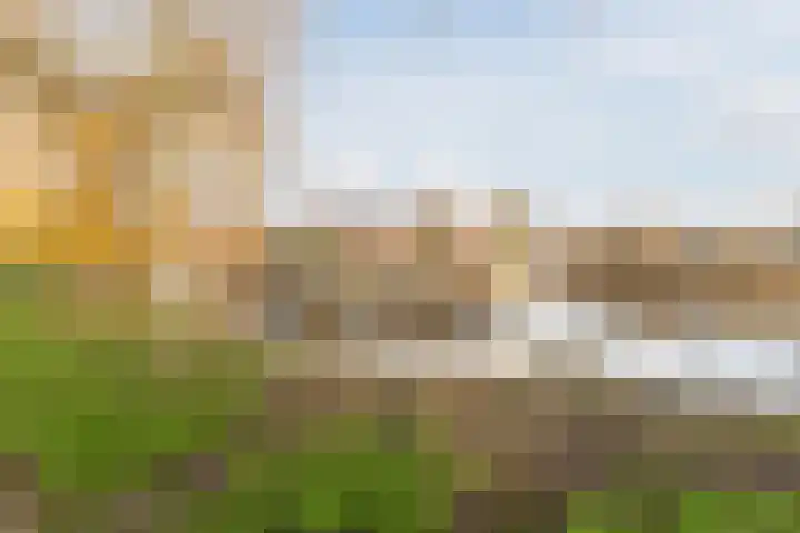 Amstel 9 Huizen thumbnail 38