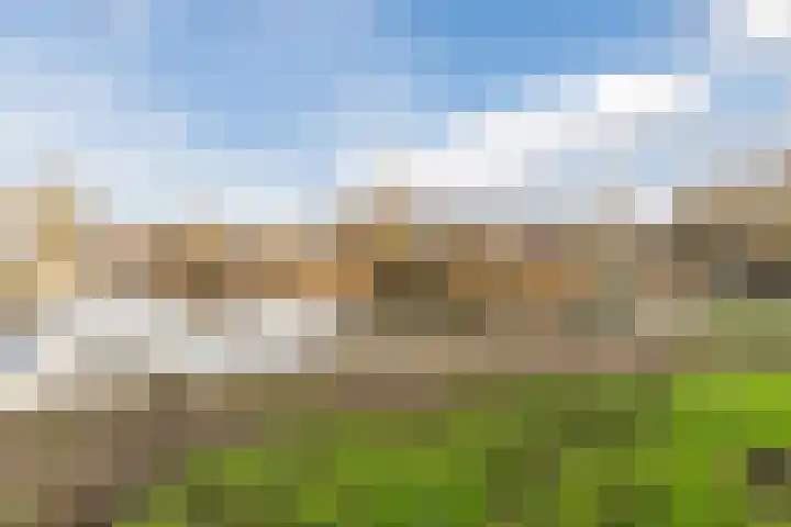 Amstel 9 Huizen thumbnail 39