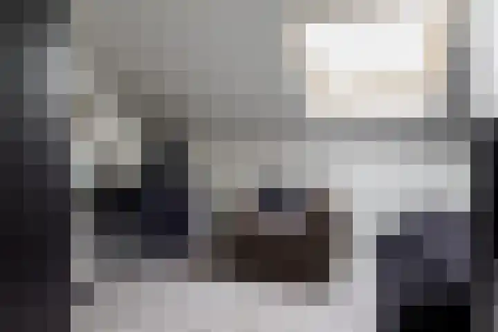 Amstel 9 Huizen thumbnail 43
