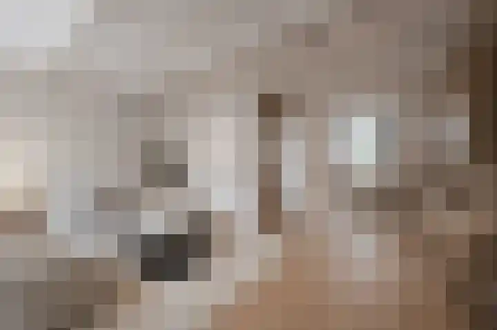 Amstel 9 Huizen thumbnail 7