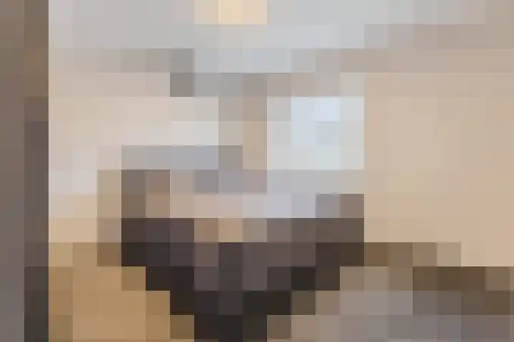 Amstel 9 Huizen thumbnail 8
