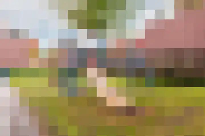 Amsteldiep 29 Lelystad thumbnail 38