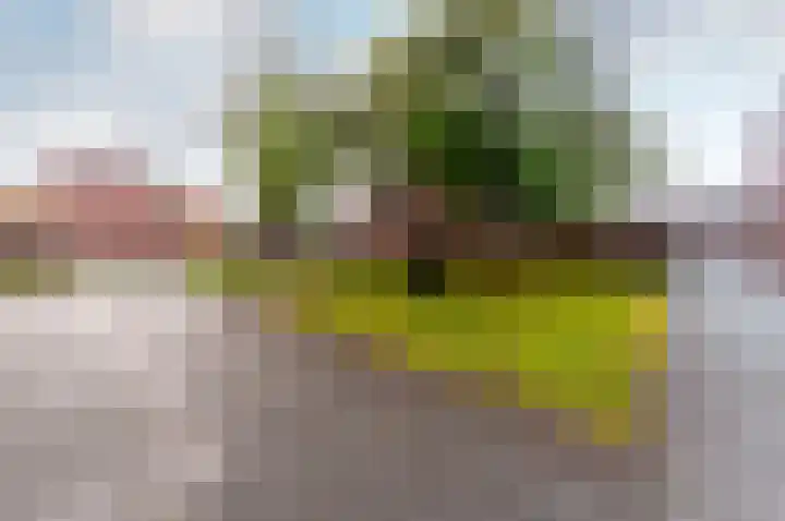 Amsteldiep 29 Lelystad thumbnail 40