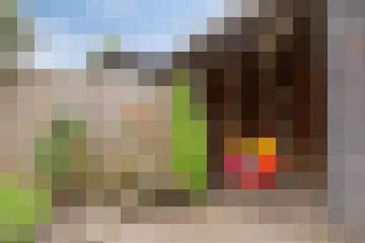 Amsteldiep 7 Zeewolde thumbnail 29
