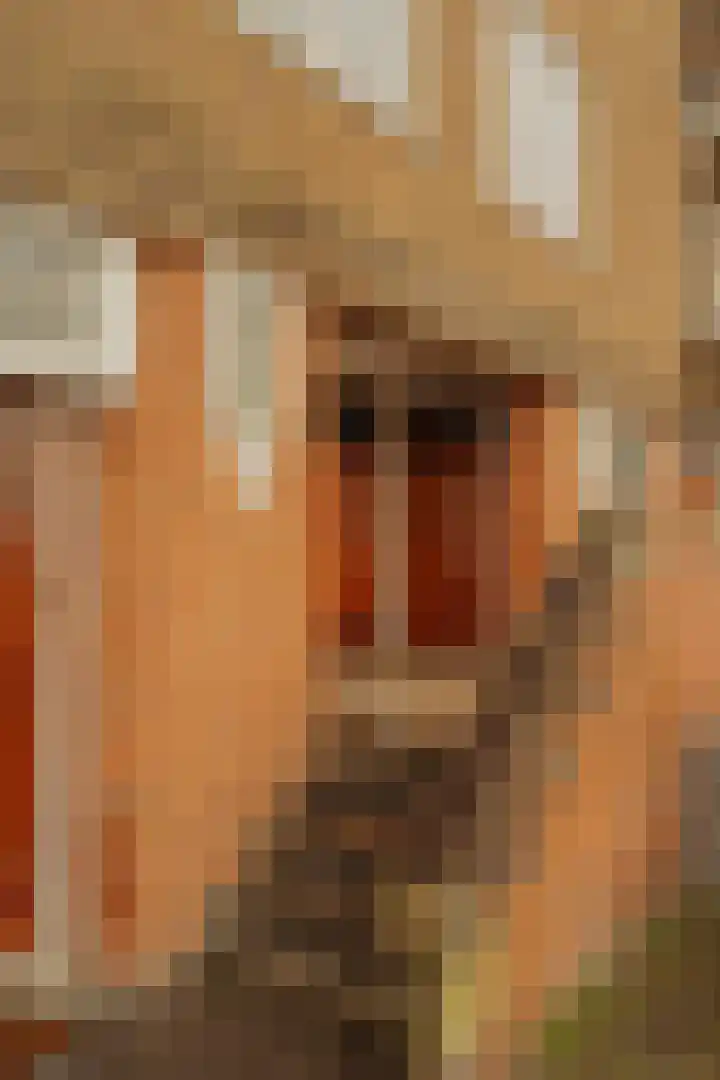 Amsteldijk 116 2 Amsterdam foto 2