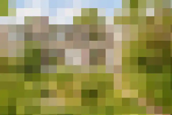 Amsteldijk Noord 83 in Amstelveen