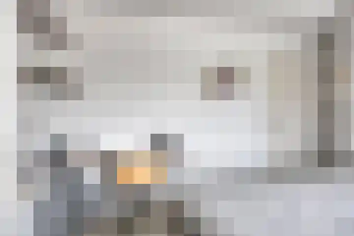 Amstelhof 16 Veldhoven thumbnail 17