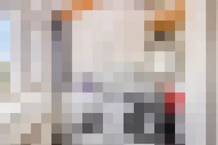 Amstelhof 16 Veldhoven thumbnail 30