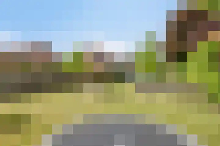 Amstelhof 16 Veldhoven thumbnail 35