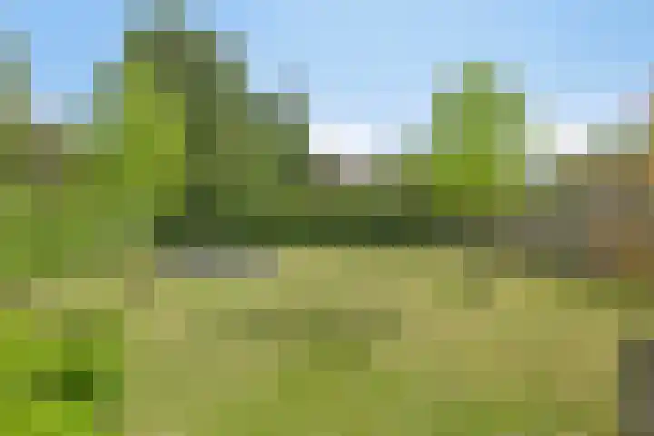 Amstelhof 16 Veldhoven thumbnail 36