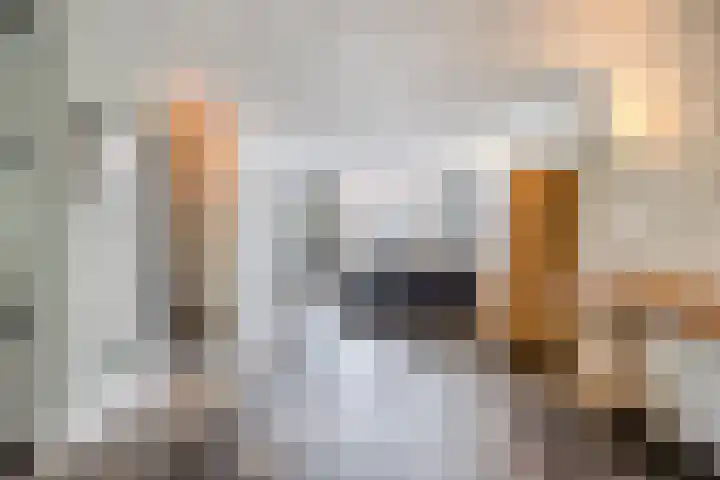 Amstelhof 16 Veldhoven thumbnail 4