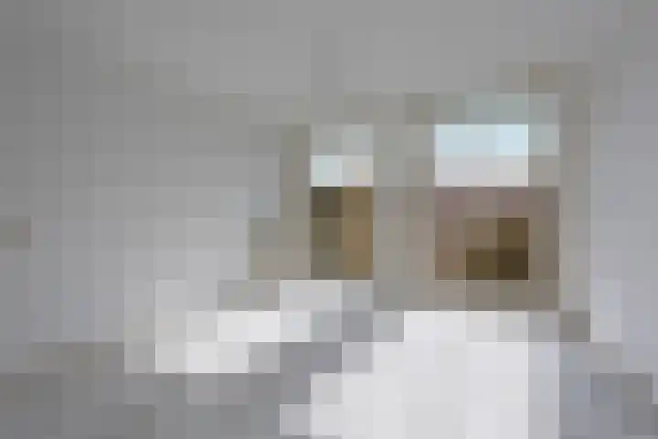 Amstelkade 129 2 Amsterdam thumbnail 11