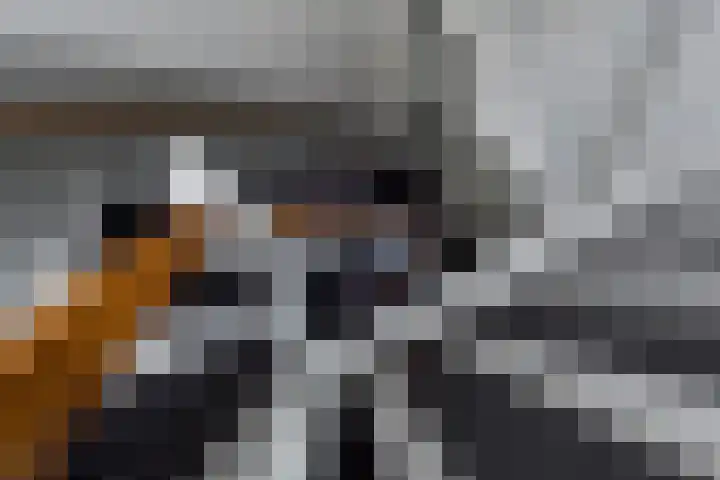 Amstelkade 129 2 Amsterdam thumbnail 4