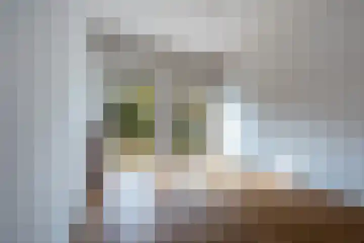 Amstelkade 140 Amsterdam thumbnail 16