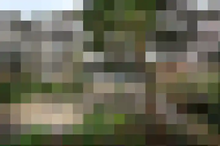 Amstelkade 140 Amsterdam thumbnail 22