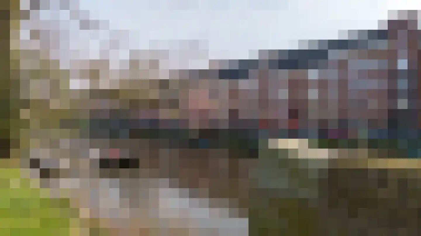 Amstelkade 140 Amsterdam thumbnail 29