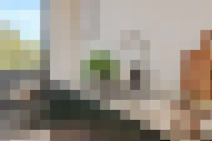 Amstelkade 16 4 Amsterdam thumbnail 16
