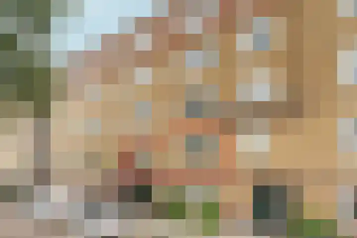 Amstelkade 50 2 Amsterdam thumbnail 27