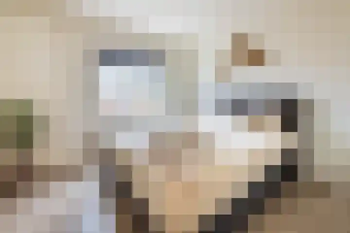 Amstelkade 51 4 Amsterdam thumbnail 12