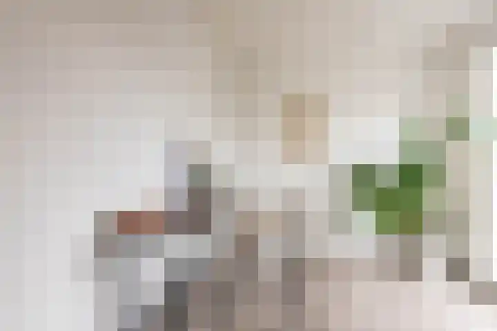 Amstelkade 51 4 Amsterdam thumbnail 19