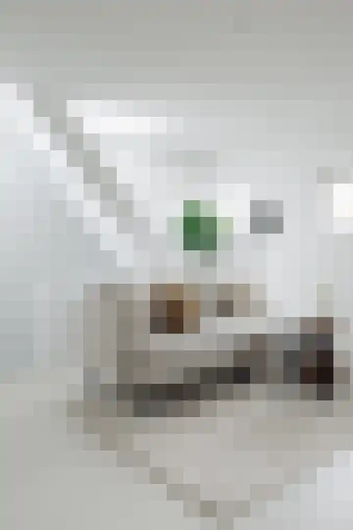 Amstelkade 65 E Amsterdam thumbnail 9