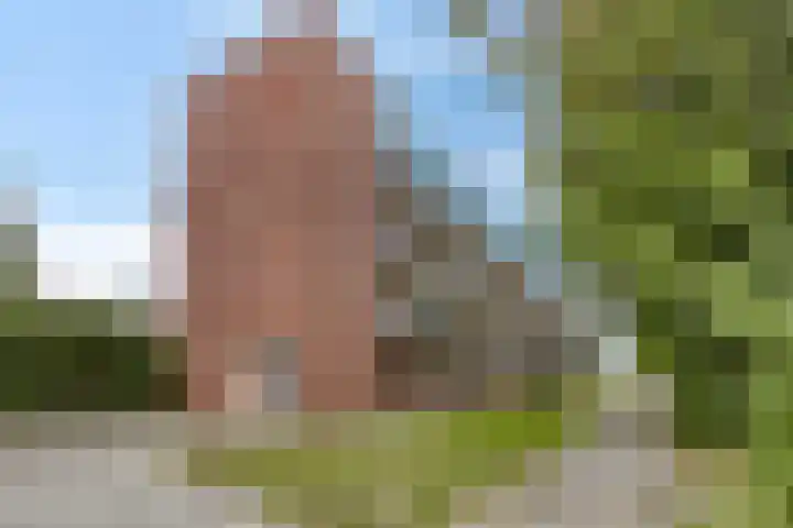 Amstellaan 21 Purmerend thumbnail 28